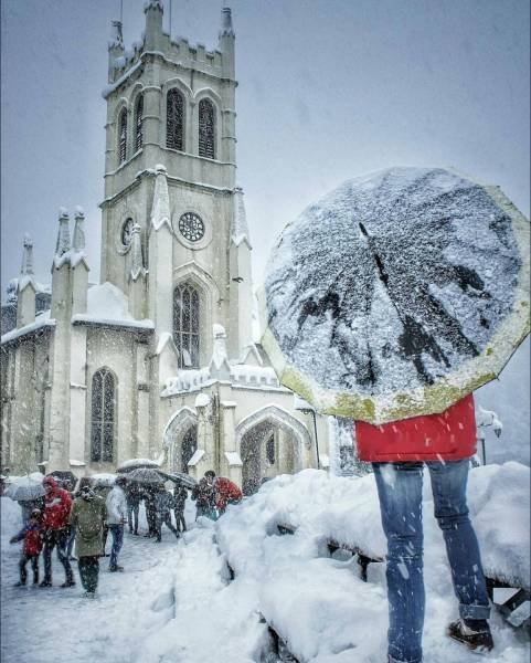 January's Latest Weather Update: Shimla and Narkanda Prepare for Snow
