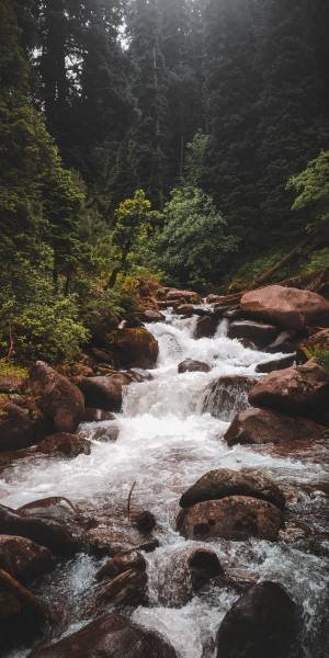 Is It Safe to Visit Jibhi in July? Here Are Answers to All Your Questions
