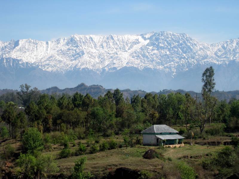 Best Dhauladhar Trip Package in October